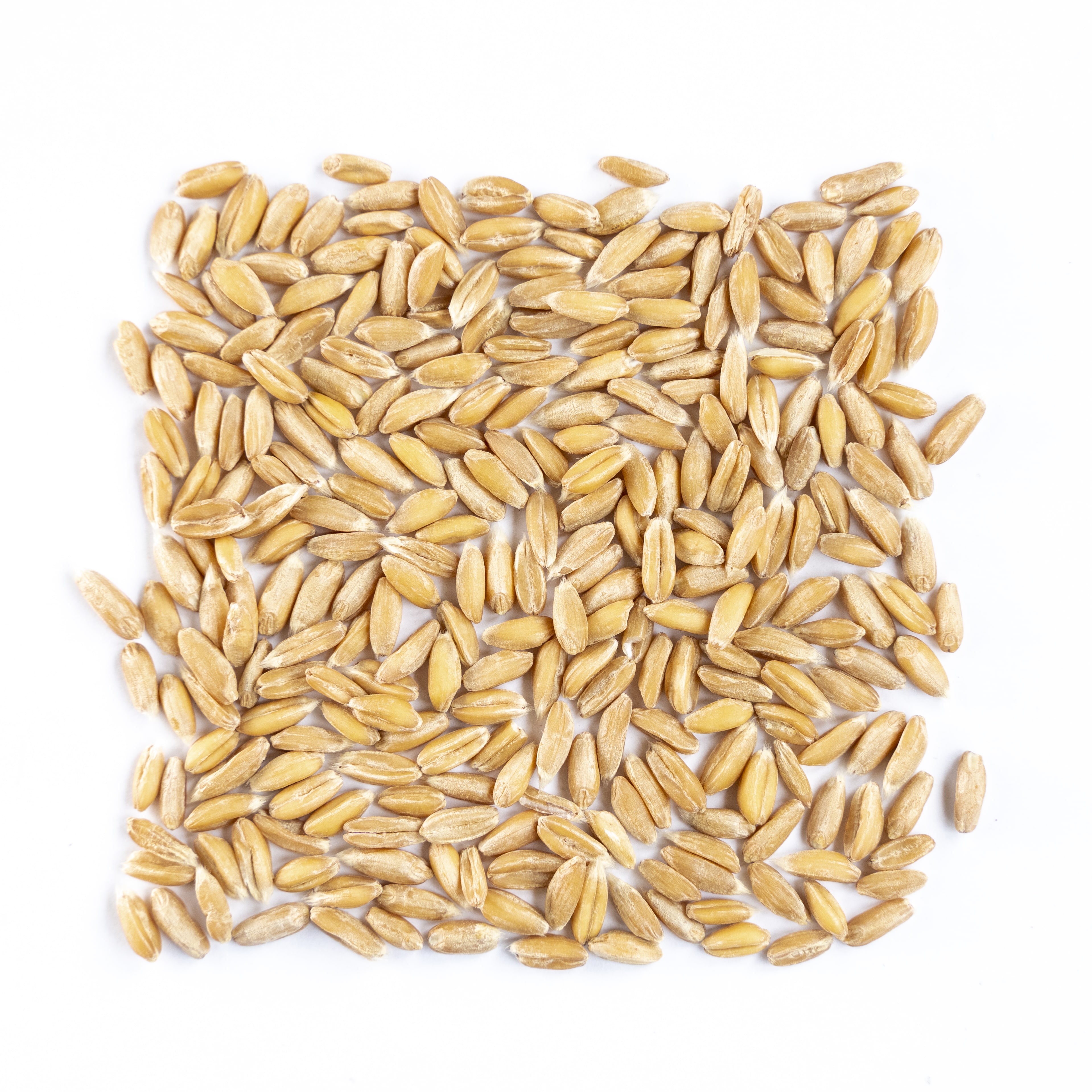 Avena Pelada-min