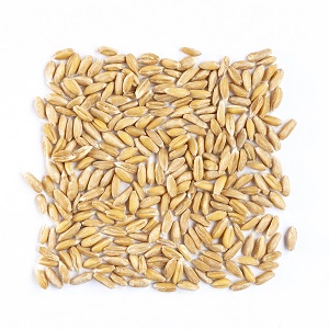 Avena Pelada 300x300 Imágenes de Noalles y Balanzá